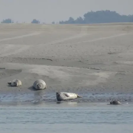 Emilia - Vue Centre Du Village 펜션 얼트